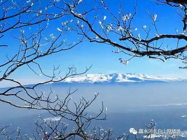 可爱小小警察