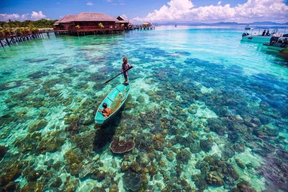 奥莉的夏威夷之旅