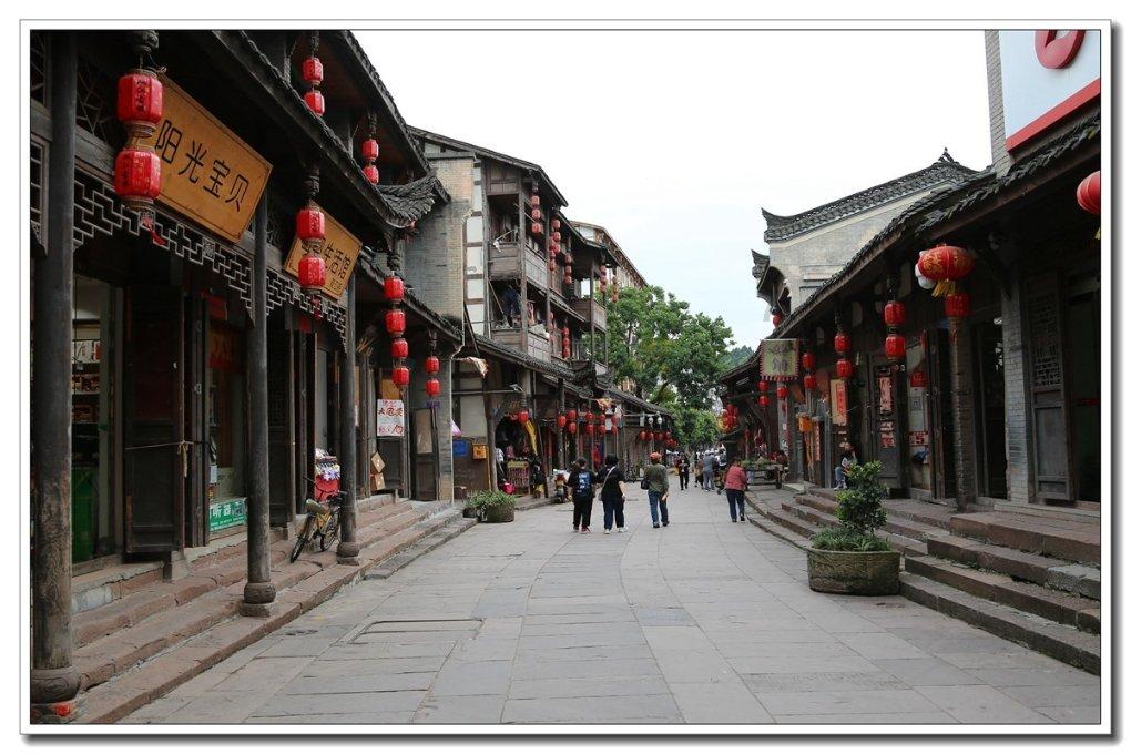 救援鹦鹉